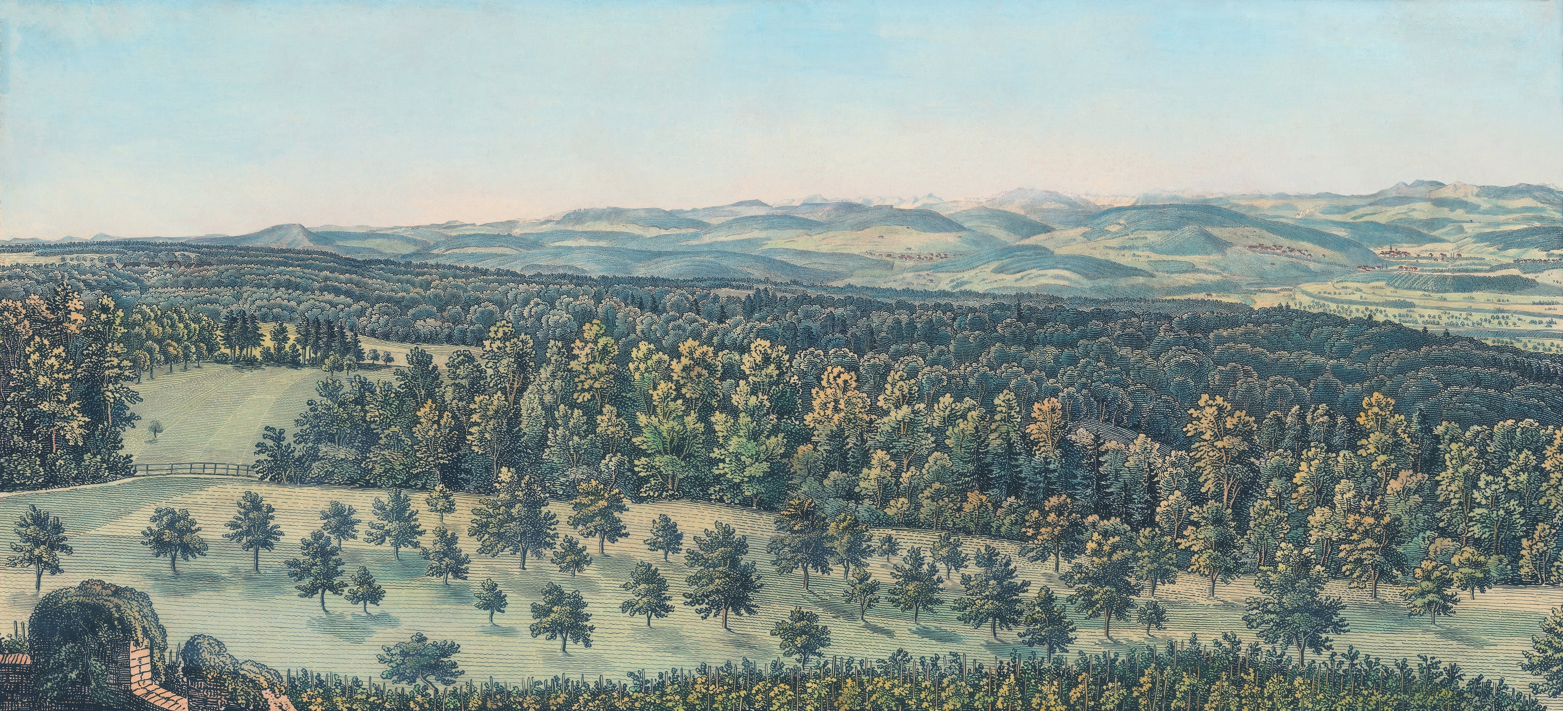 Studies in Nature: Historic Landscape Murals for Modern Interiors