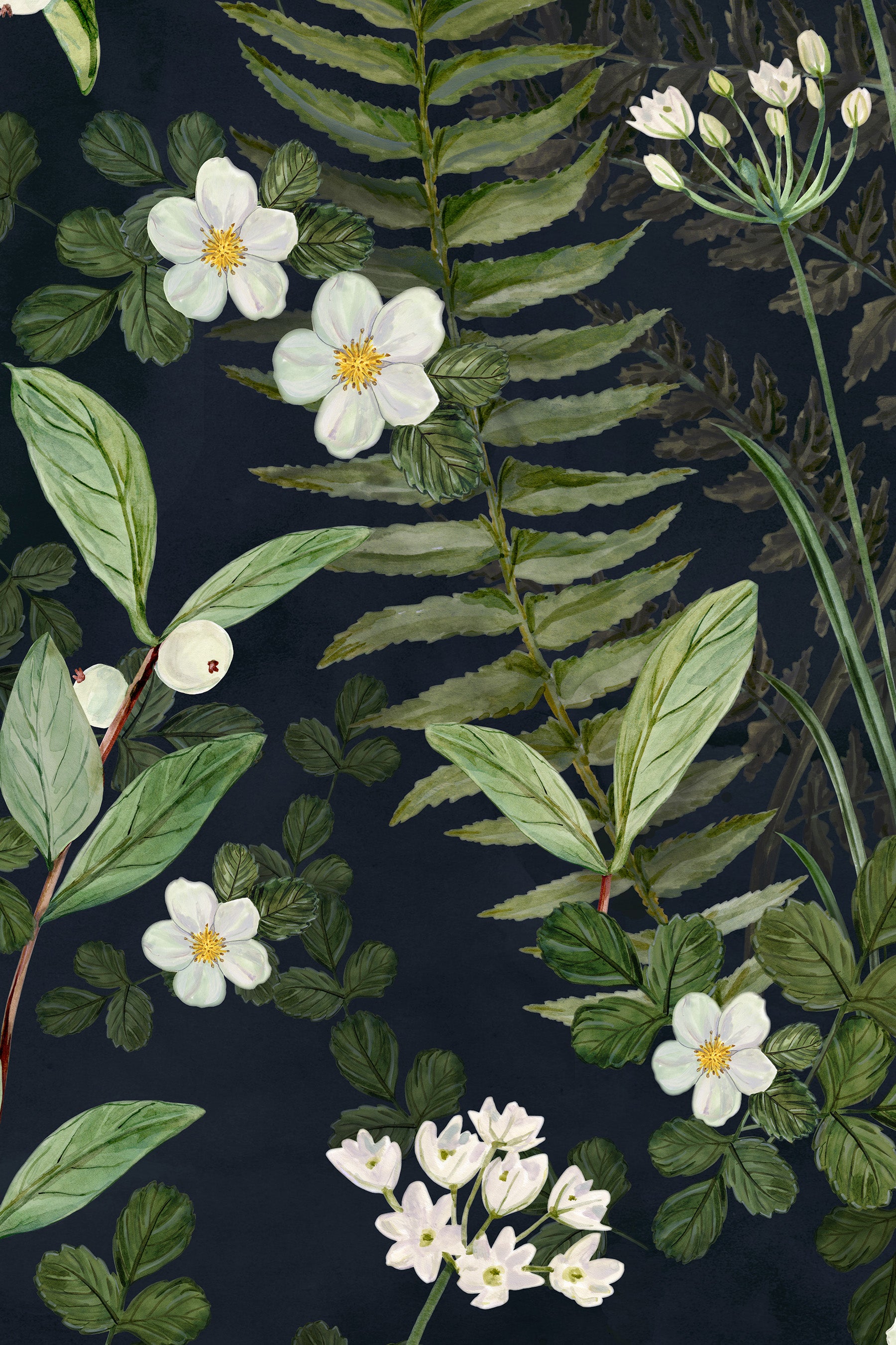 NW Fern Wallpaper Design
