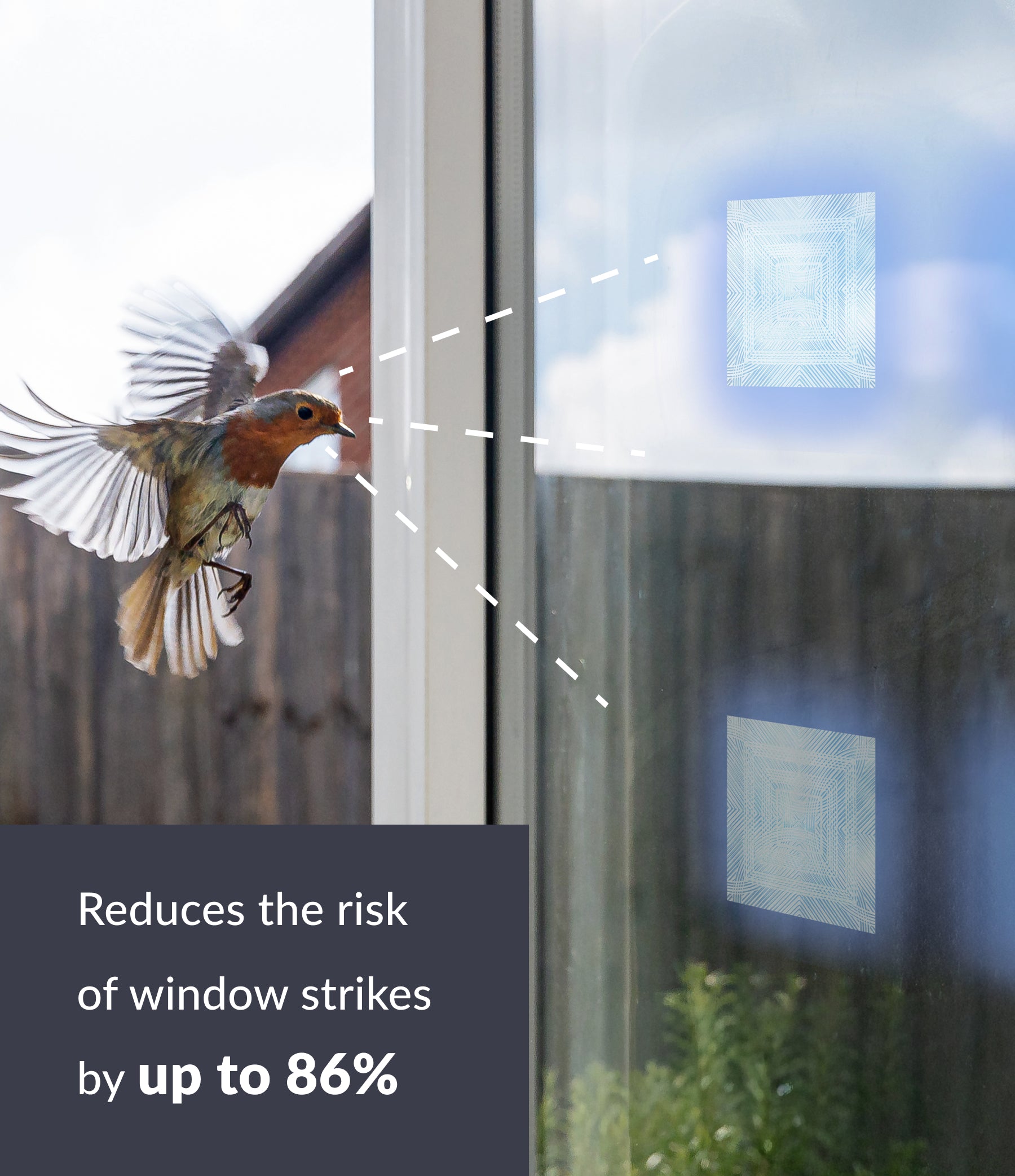 Clear 6" Bird Deflector