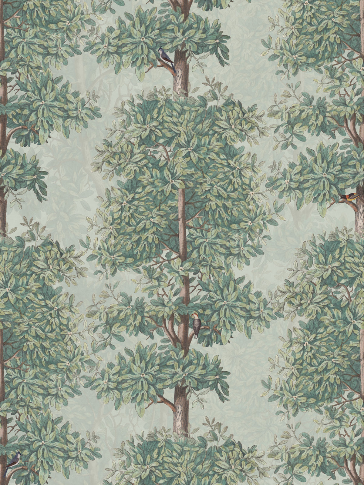 Blossom Season Apple Blossom - North American Birds Sample