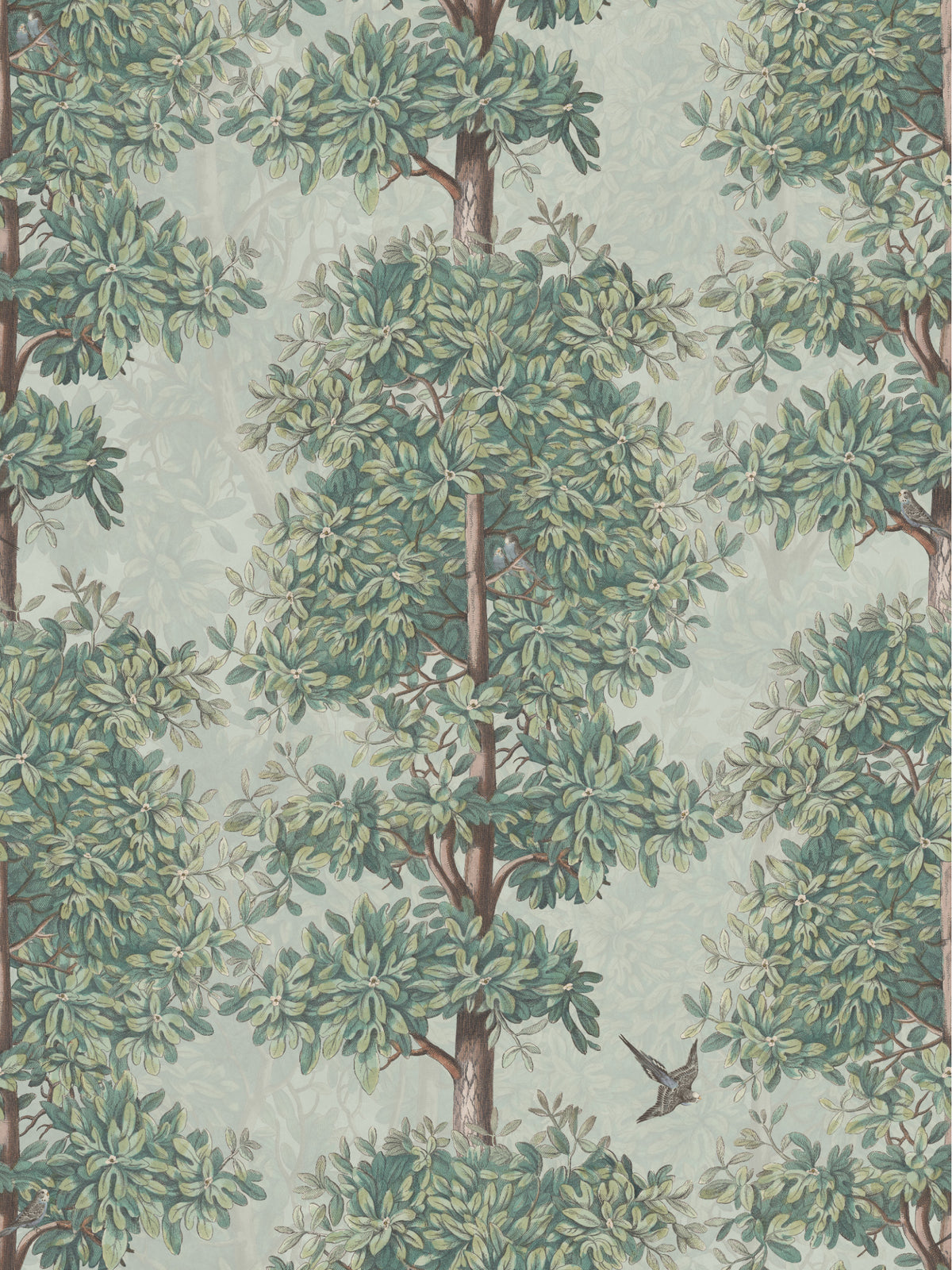 Blossom Season Apple Blossom - Parakeets Sample