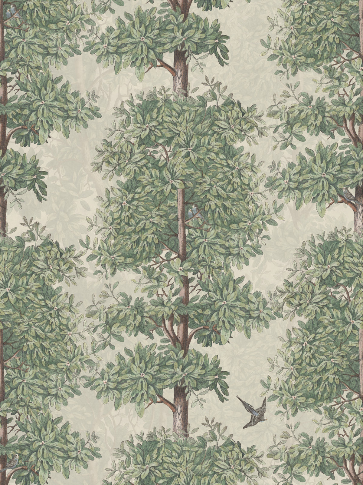 Blossom Season Crab Apple - Parakeets