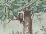 Blossom Season Apple Blossom - North American Birds