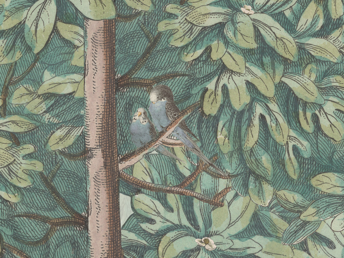Blossom Season Apple Blossom - Parakeets