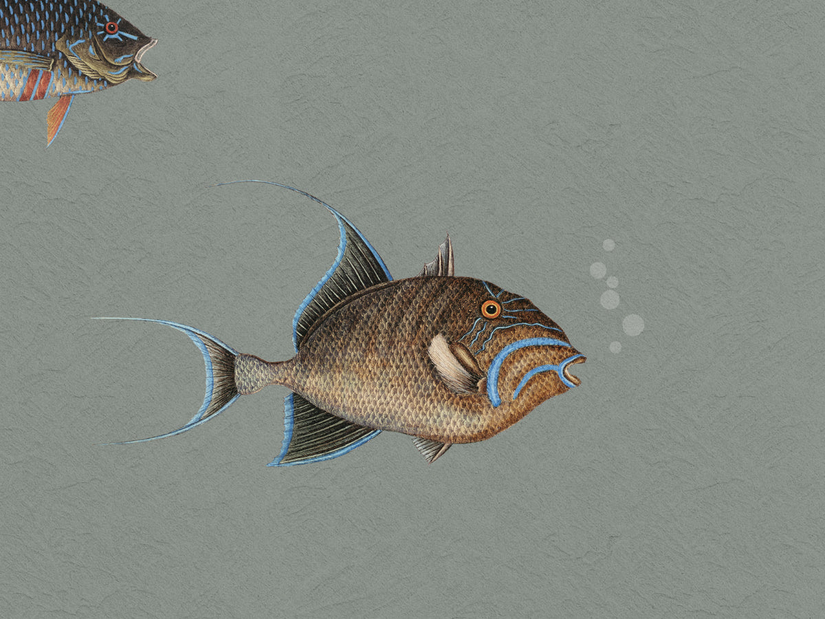 Catch of the Day Lagoon - Bubbles