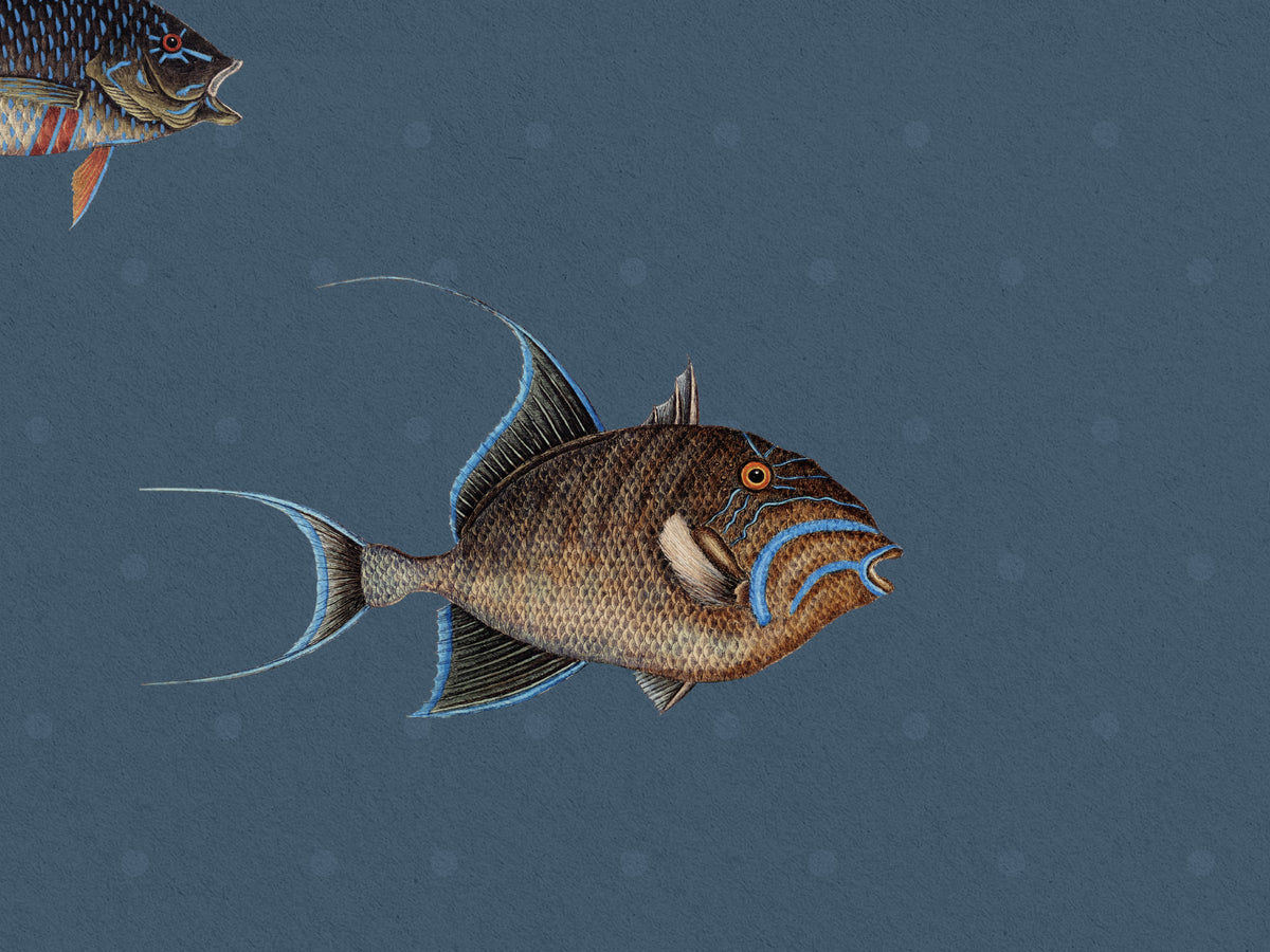 Catch of the Day Marina - Polka Dots