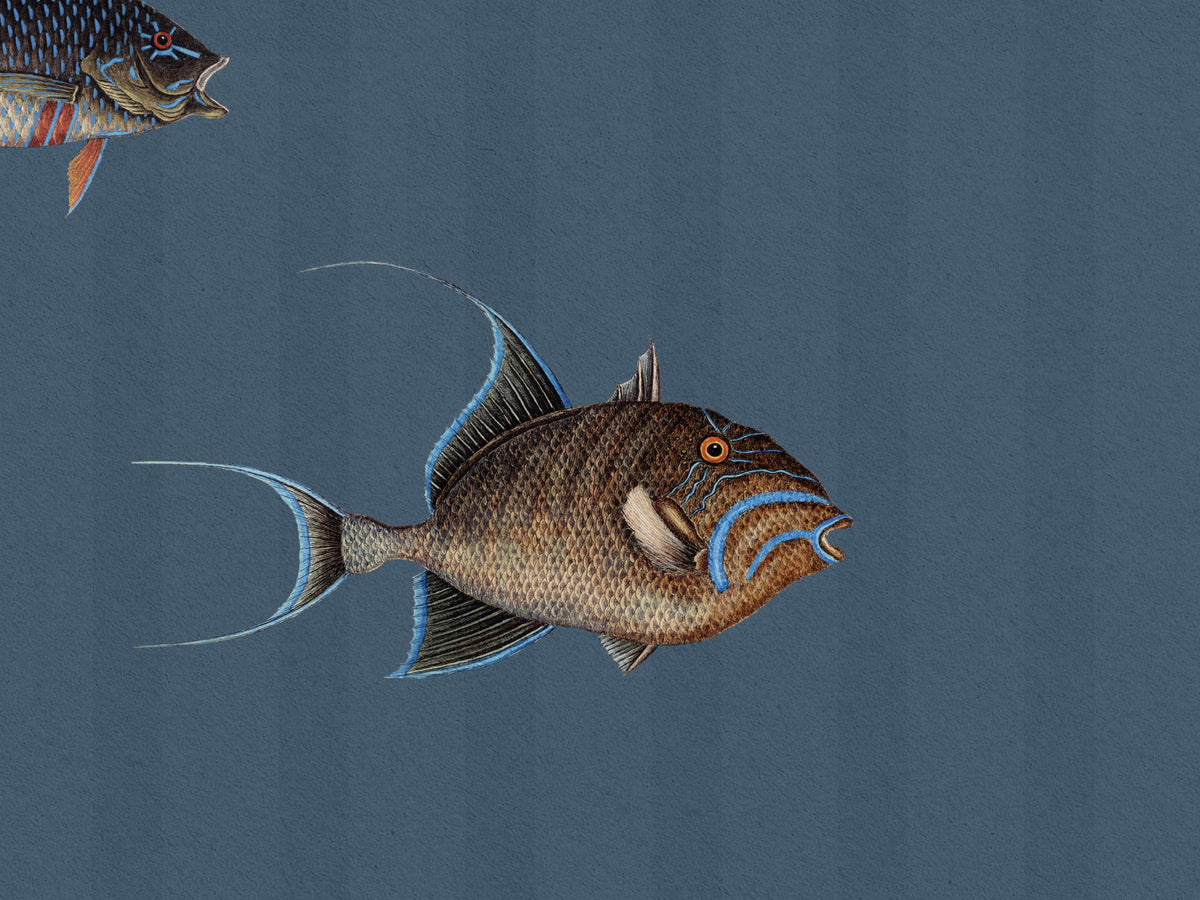 Catch of the Day Marina - Stripes