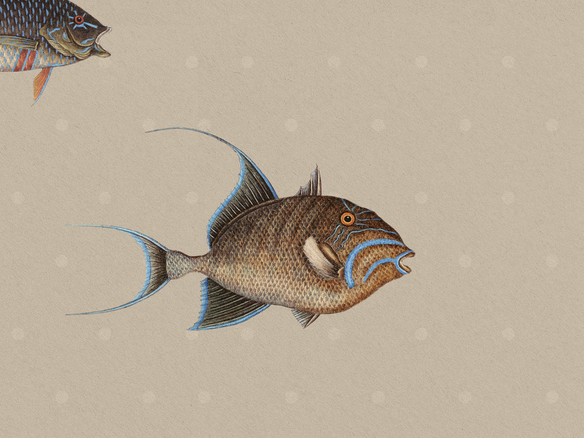 Catch of the Day Shore - Polka Dots