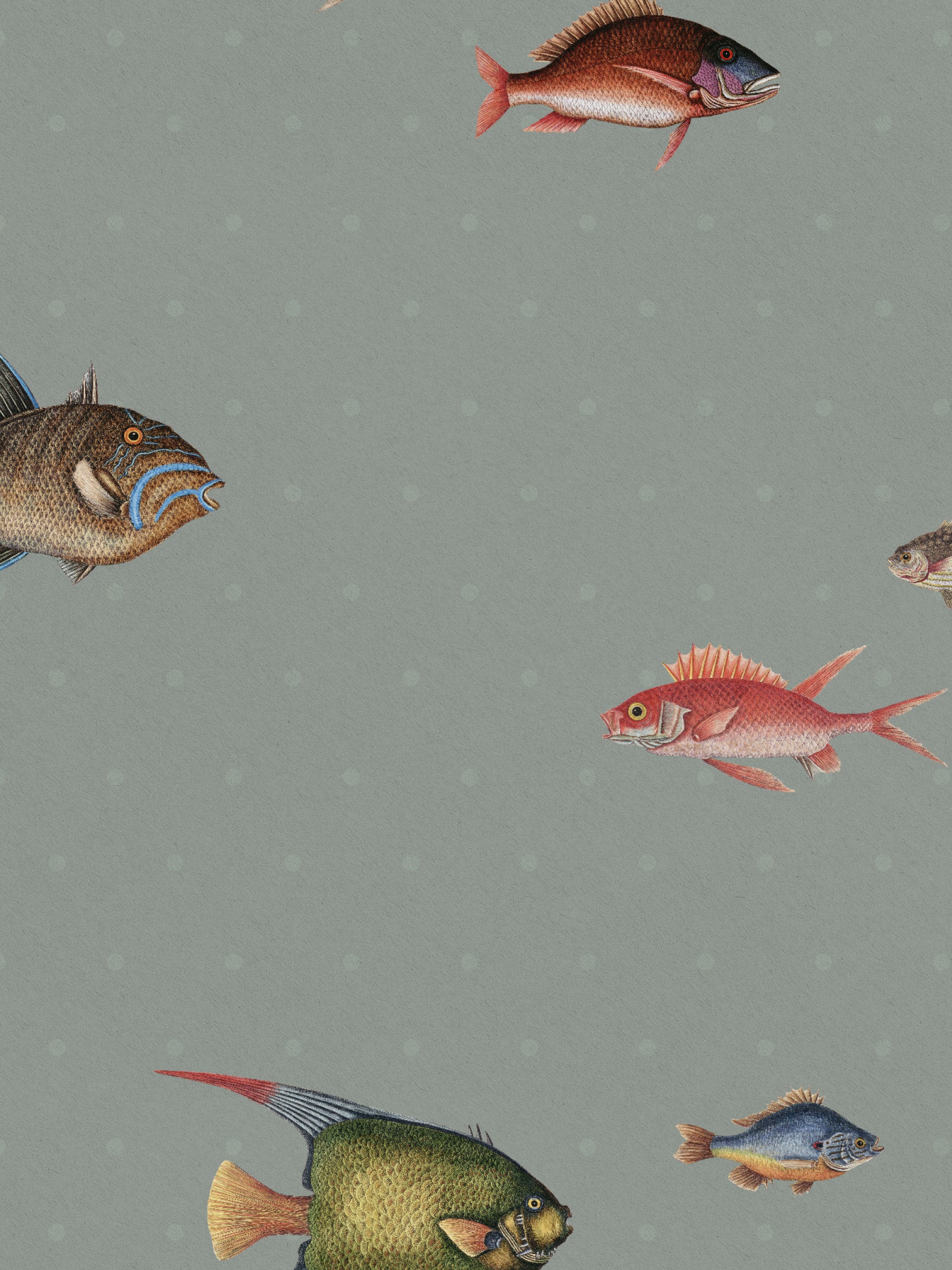Catch of the Day Lagoon - Polka Dots