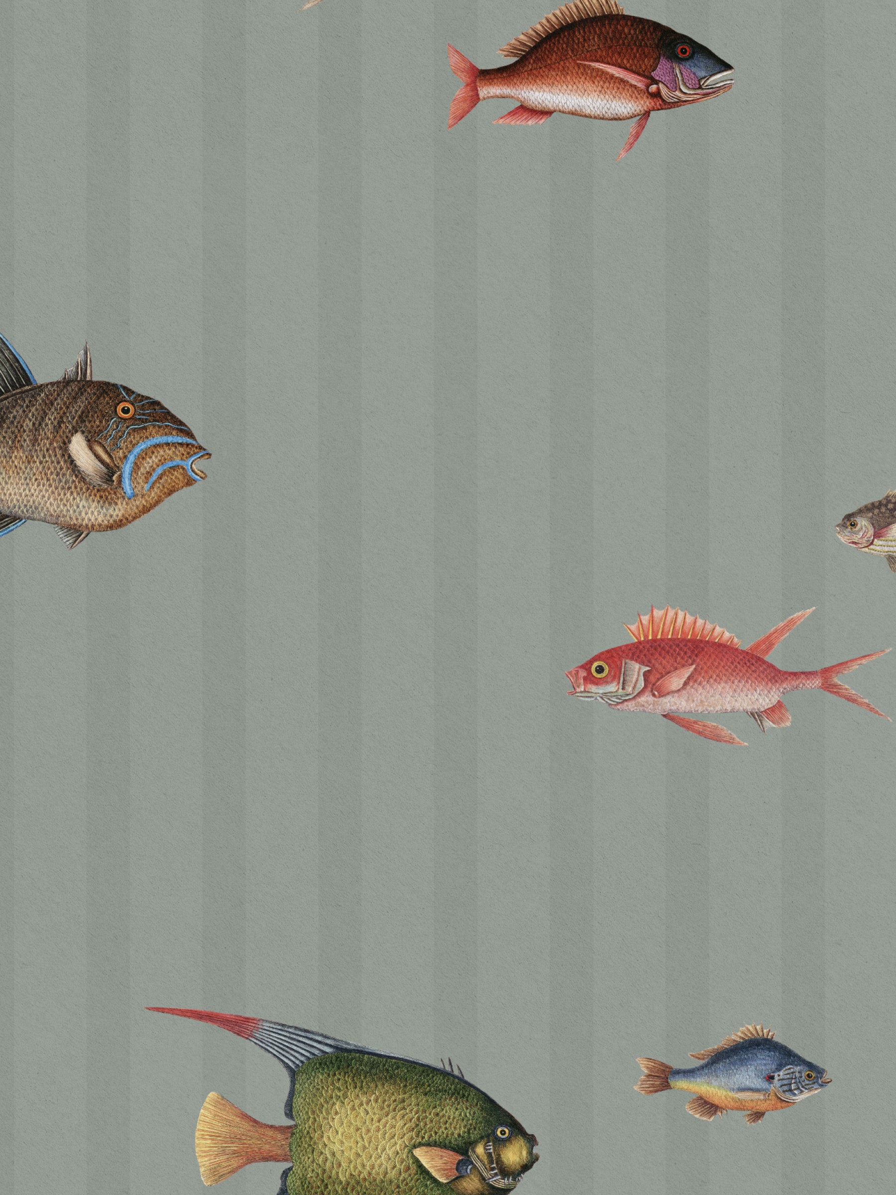 Catch of the Day Lagoon - Stripes