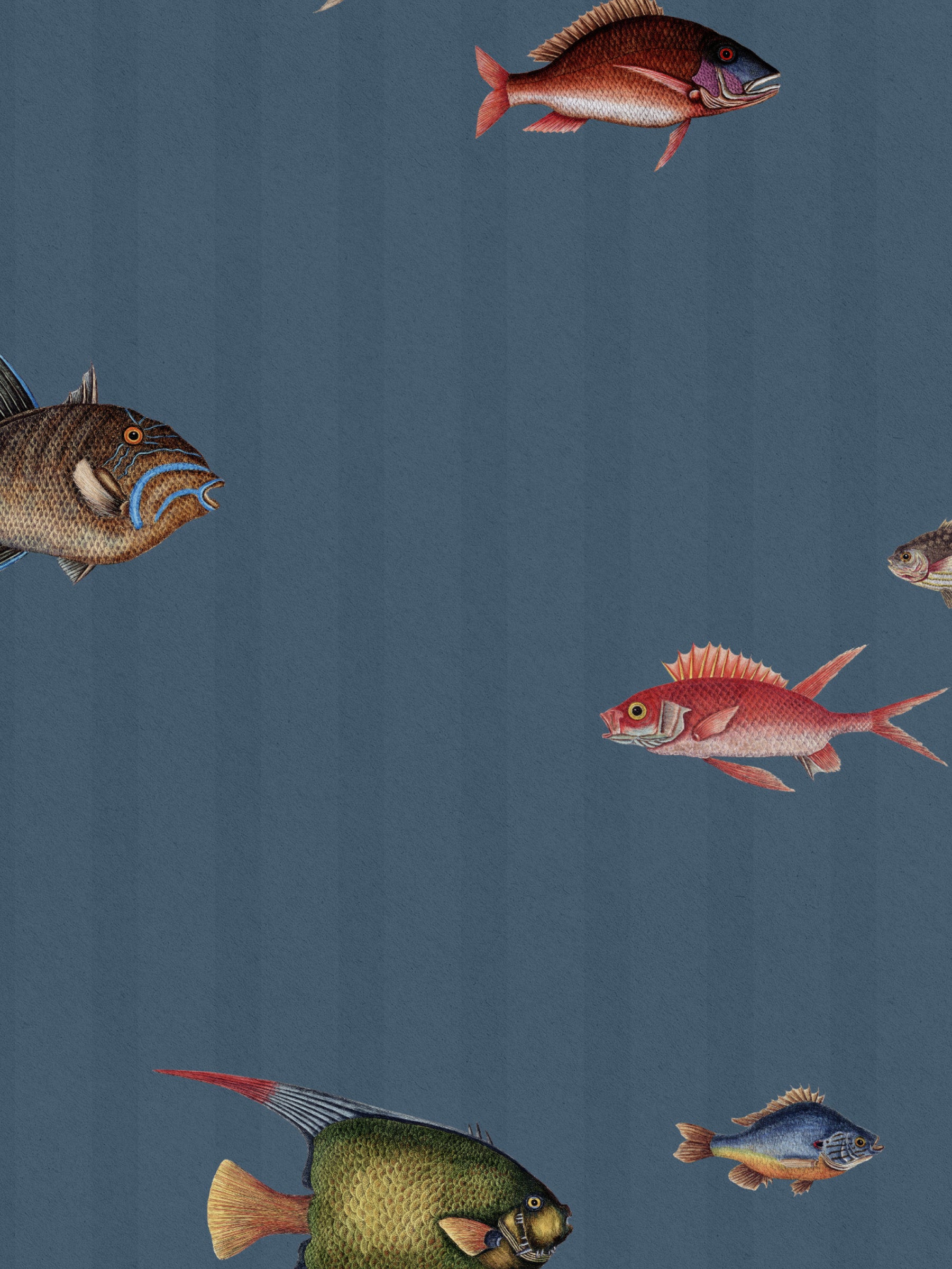 Catch of the Day Marina - Stripes