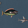 Catch of the Day Marina Texture