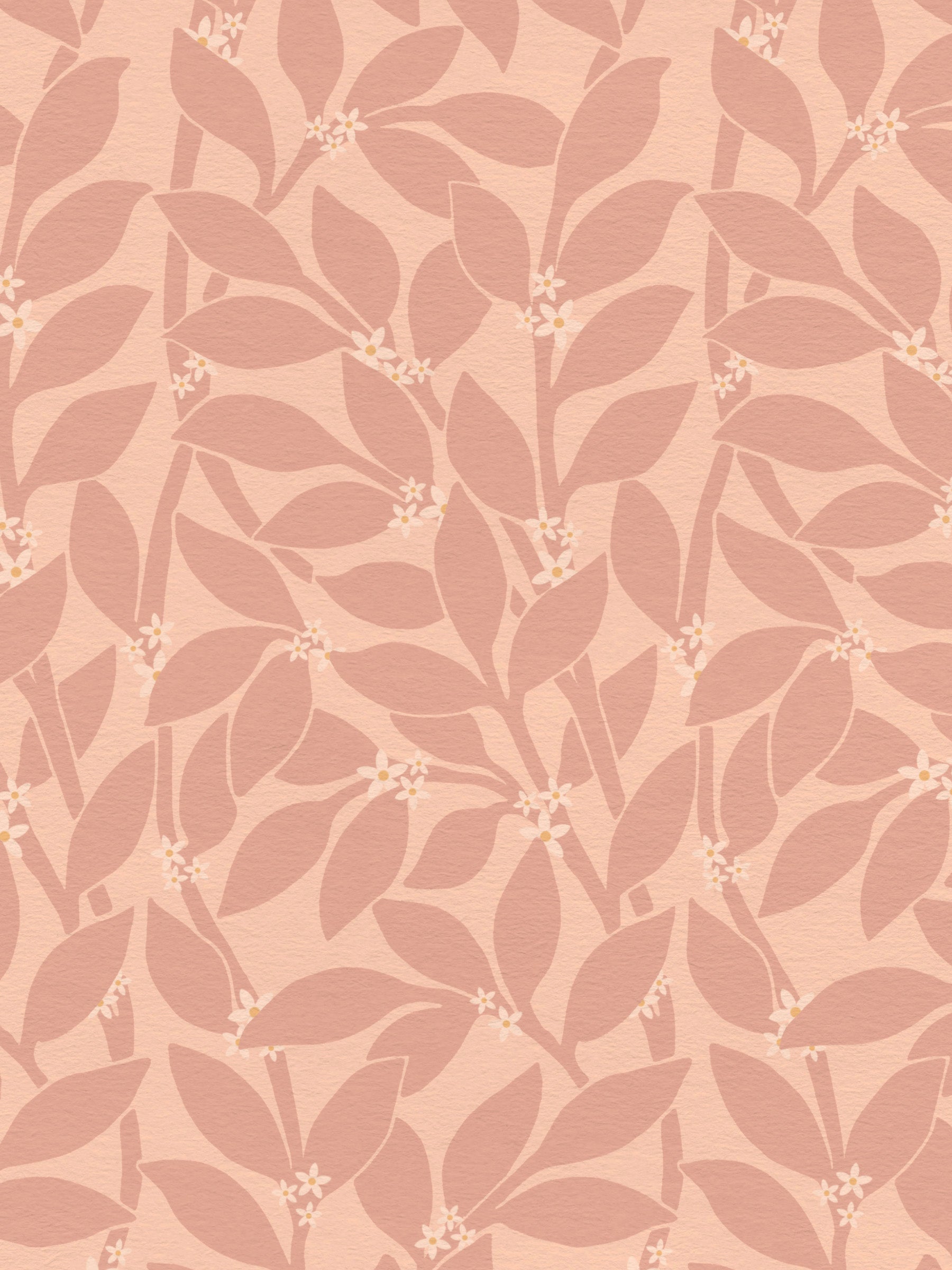Citrus Grove Dusty Rose - White flowers