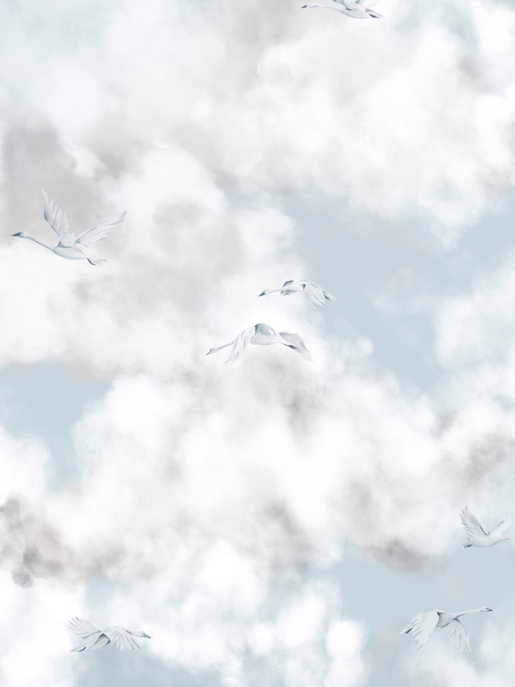 Cloud Play Blue Skies - Swans
