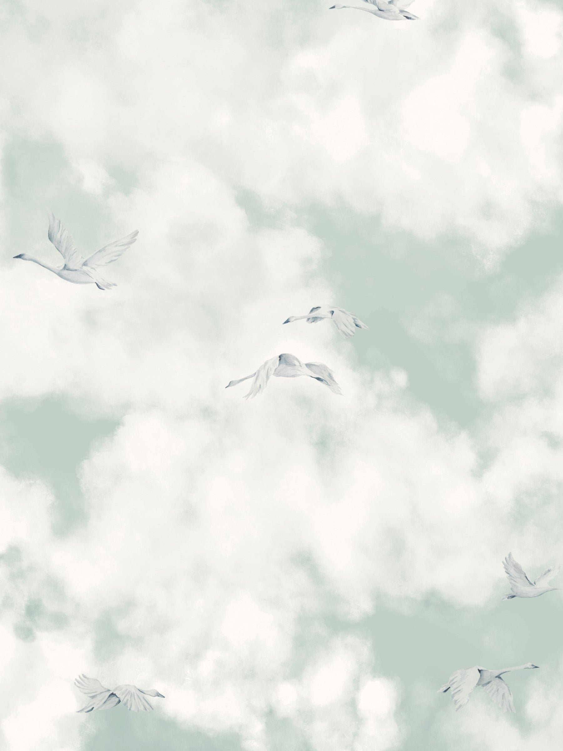 Cloud Play Haze - Swans