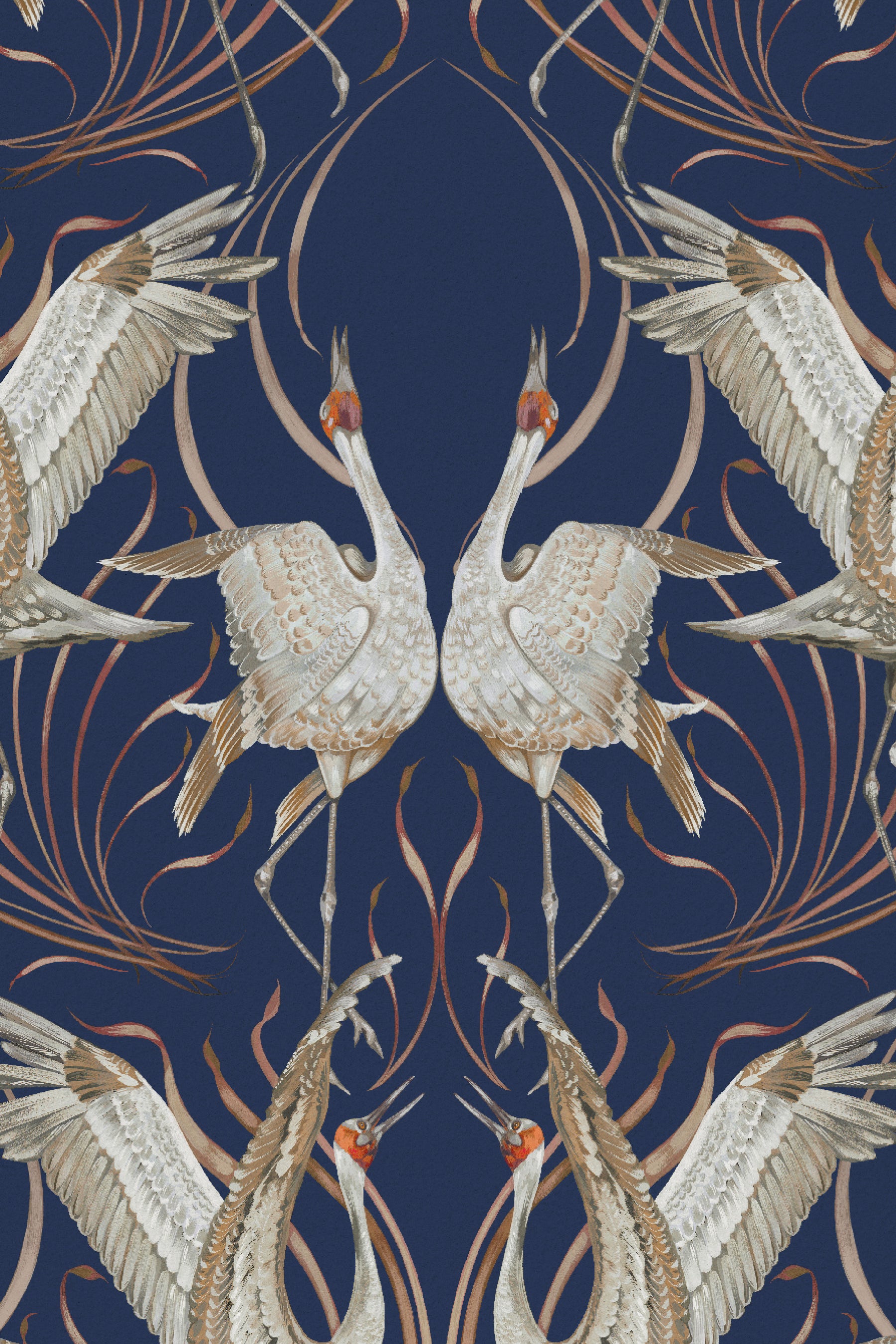 Cranes - Oxford