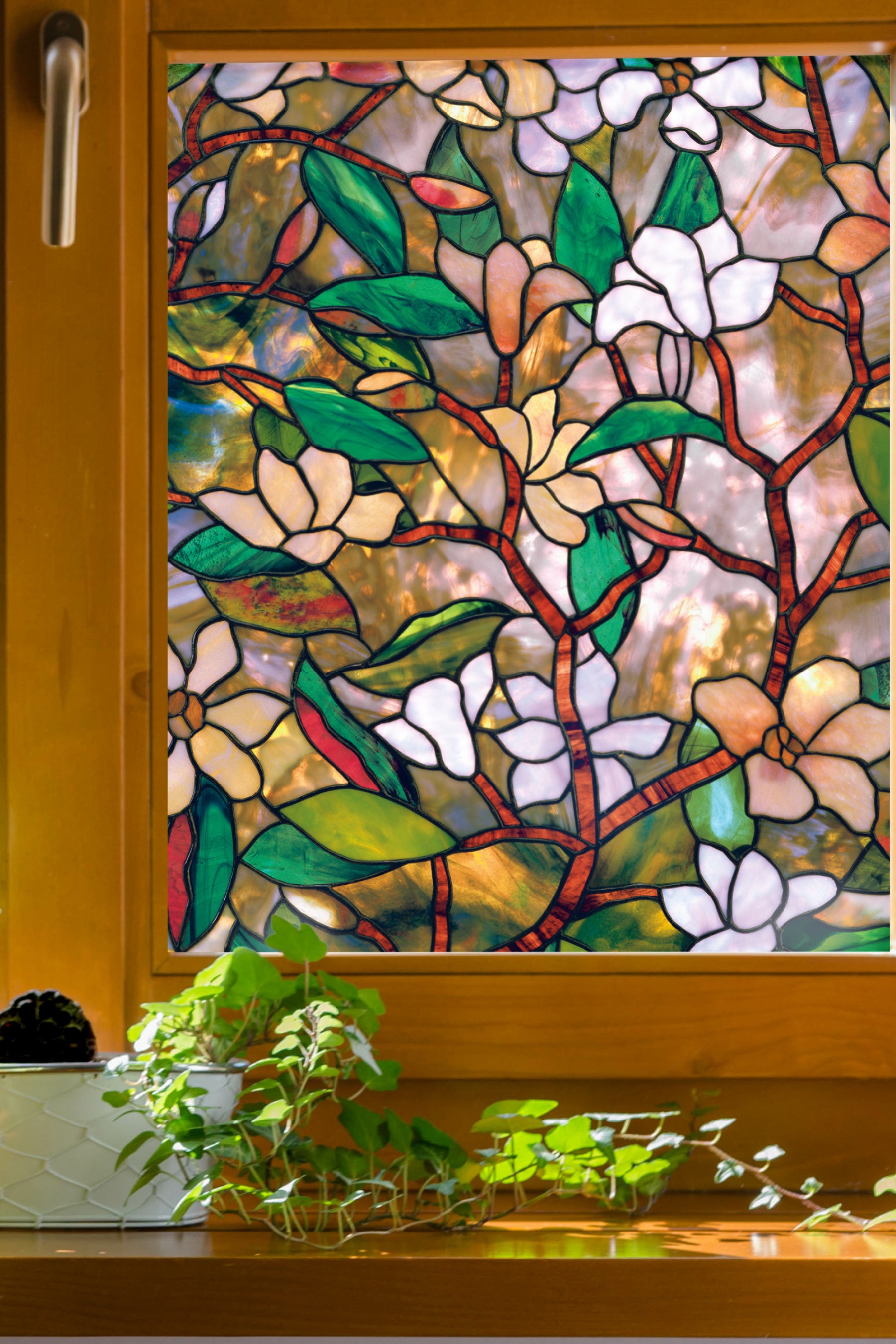 Magnolia