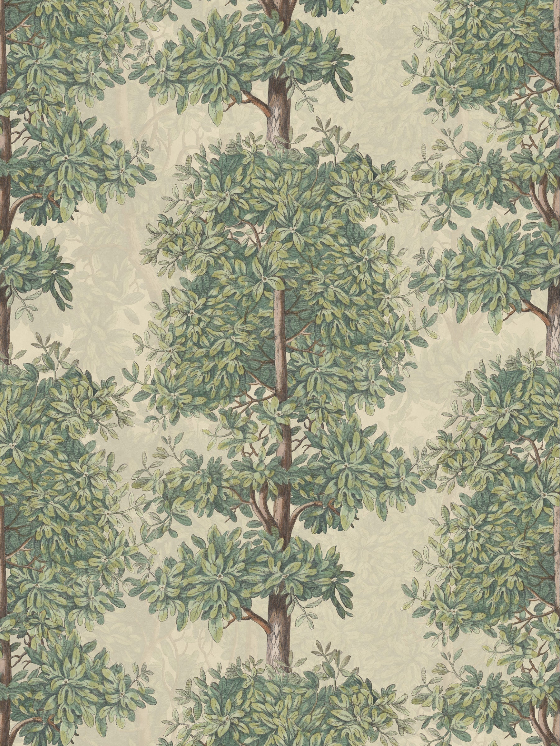 Mandarin Grove - Blossom