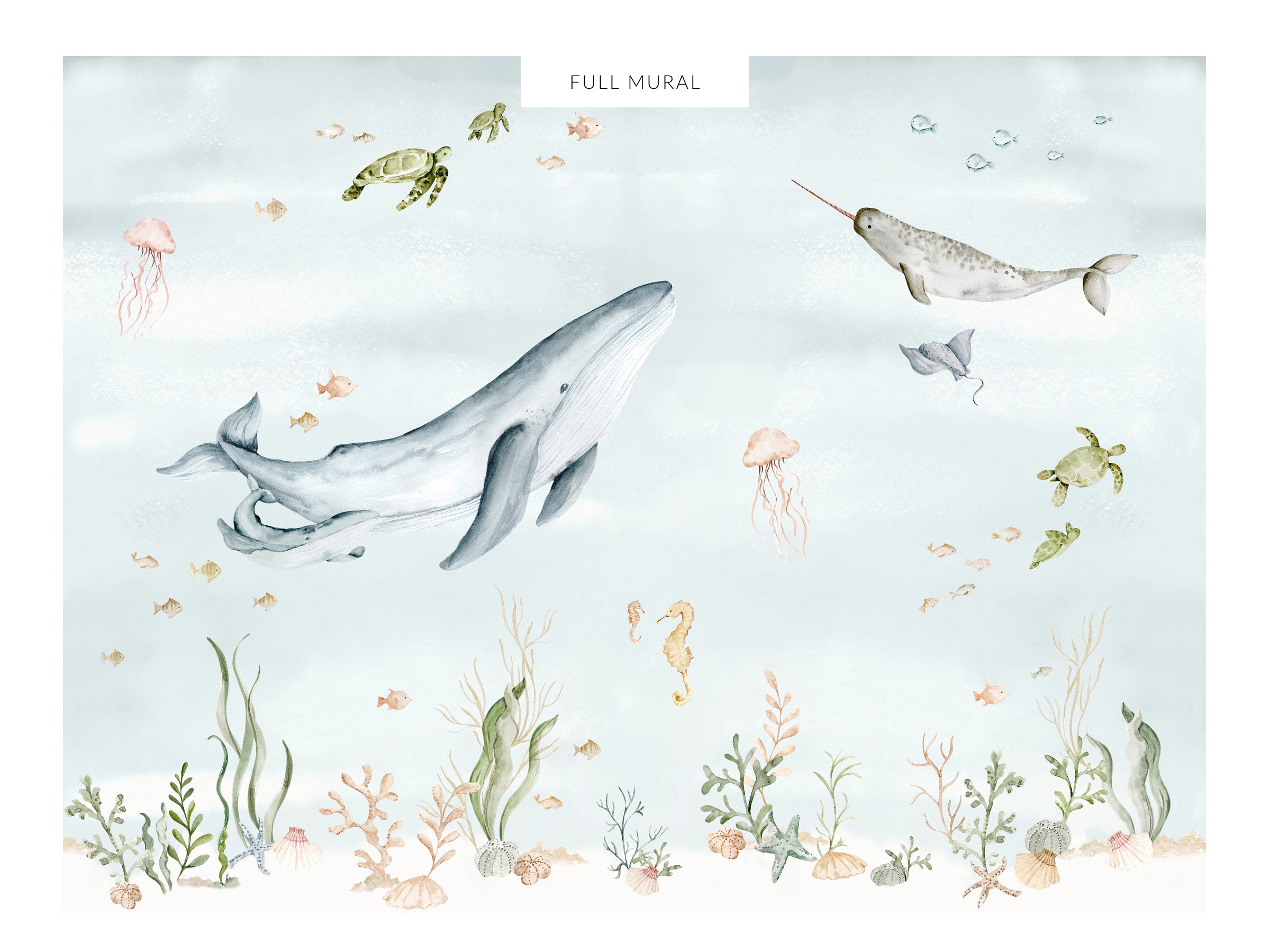 Marine Life