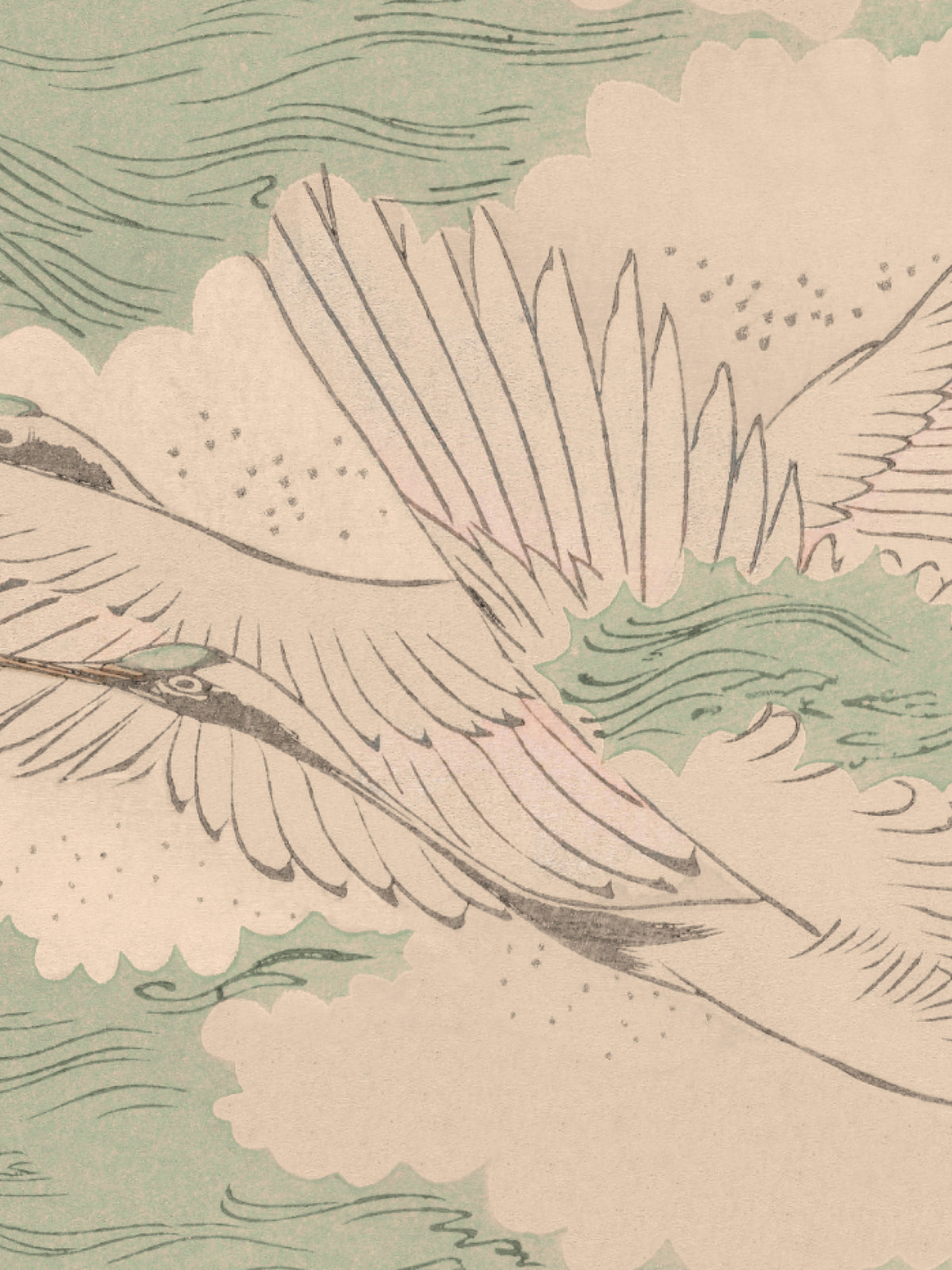 Migration - Seagrass