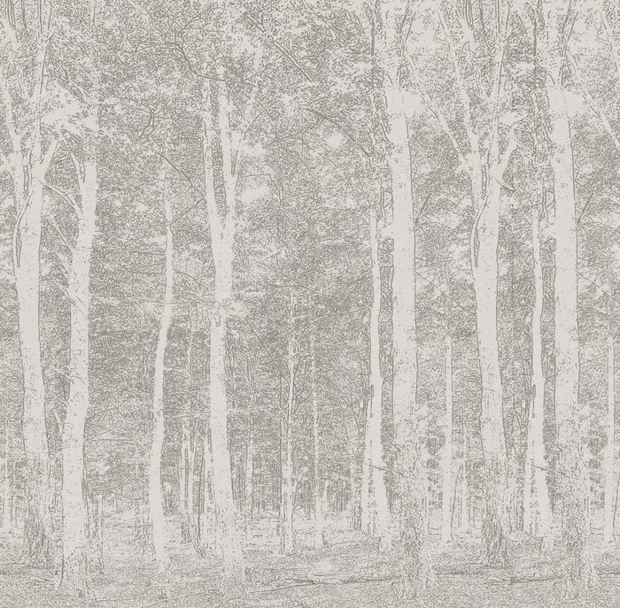 Aspen Woods - Dust