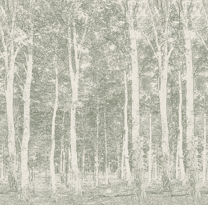 Aspen Woods - Northern Leaf