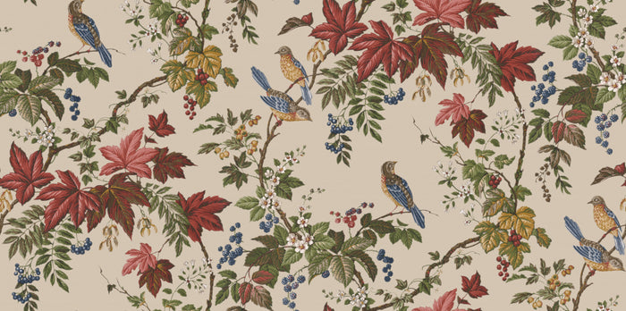 Aviary - Ivory Grove