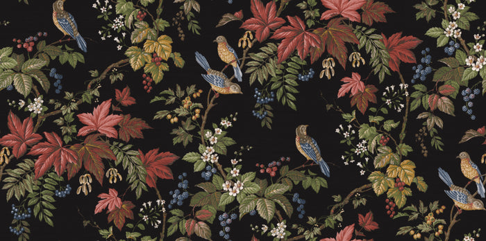 Aviary - Midnight Canopy