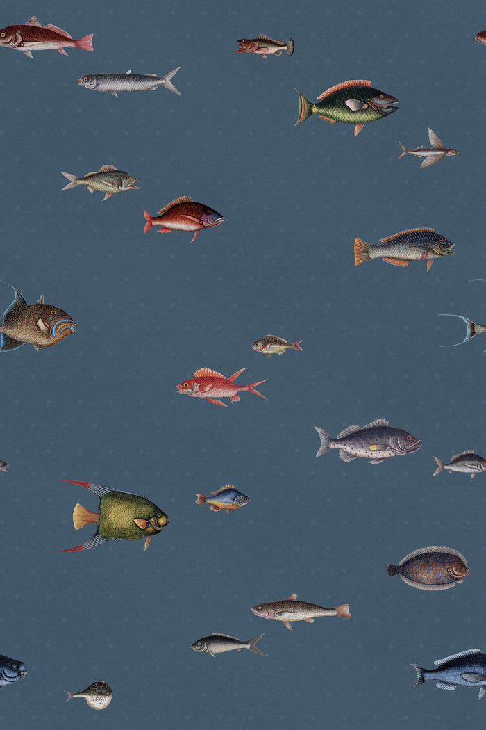Catch of the Day Marina - Polka Dots