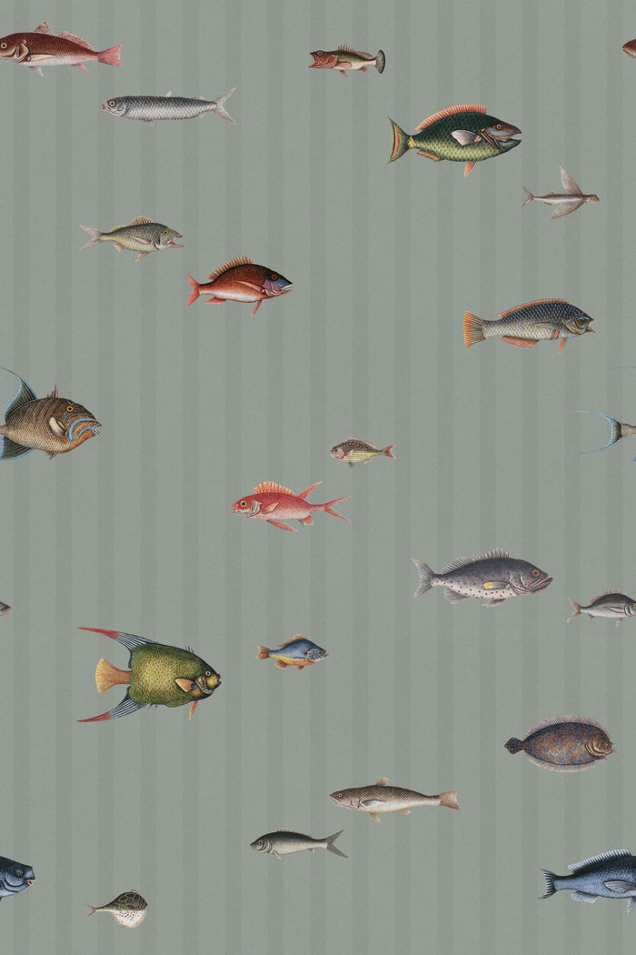 Catch of the Day Lagoon - Stripes