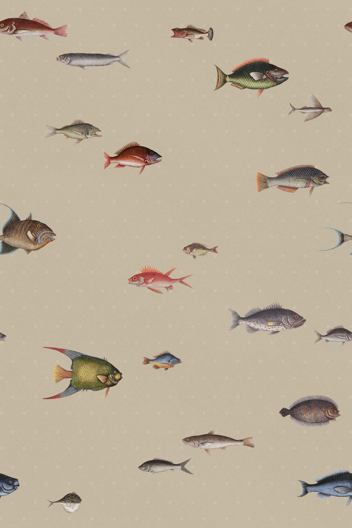 Catch of the Day Shore - Polka Dots