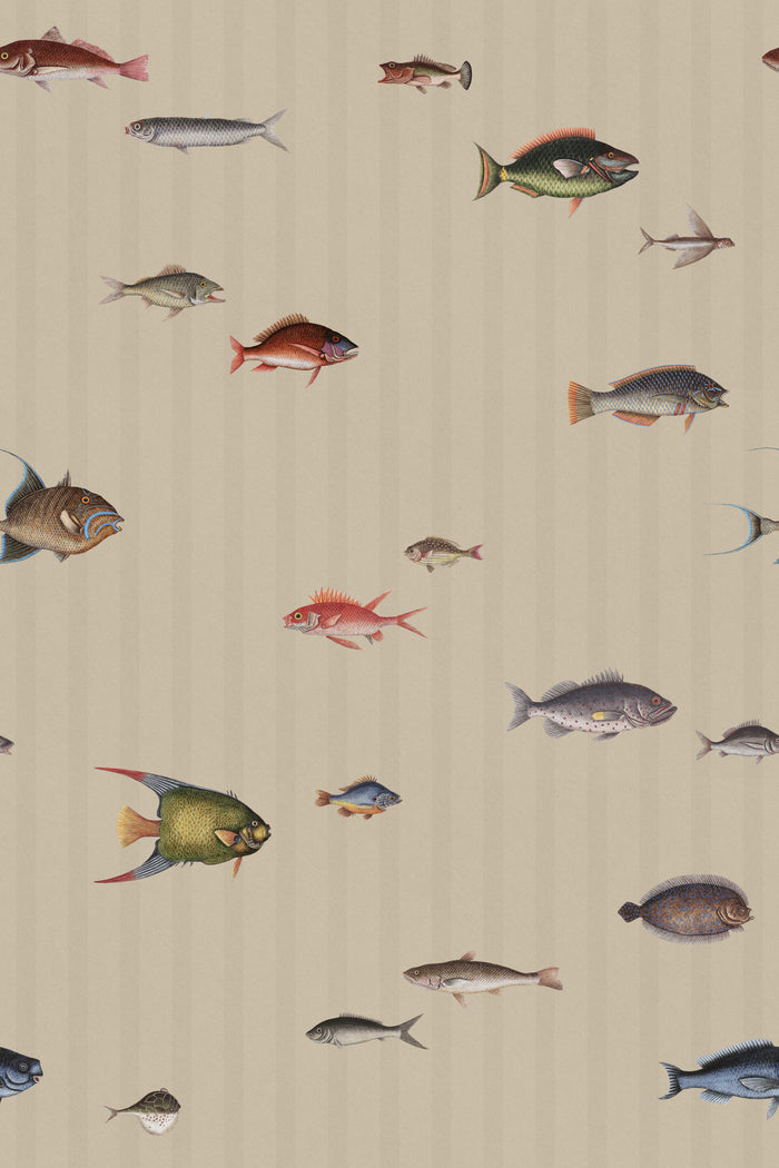 Catch of the Day Shore - Stripes