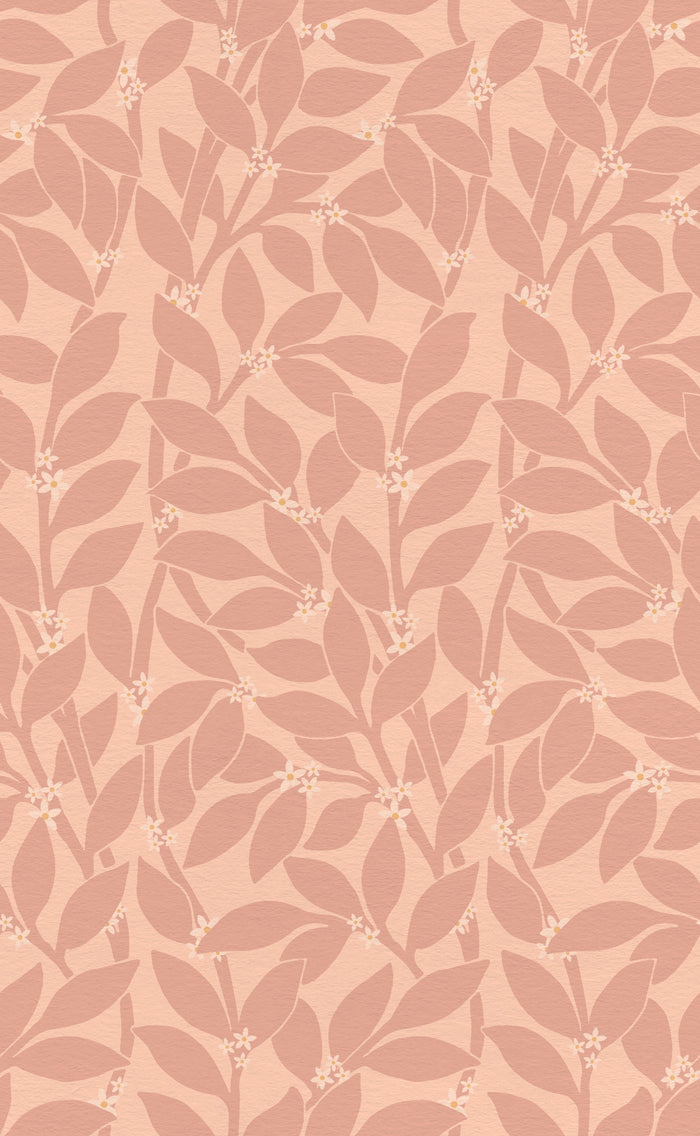 Citrus Grove Dusty Rose - White flowers