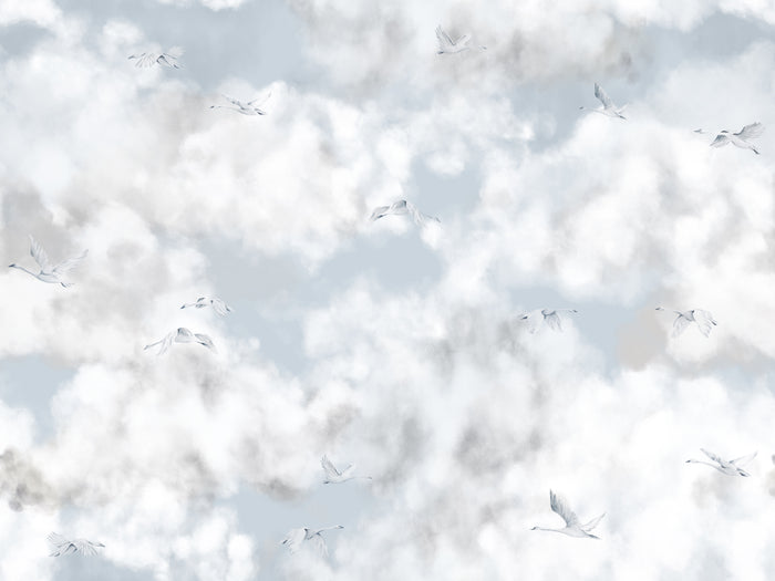 Cloud Play Blue Skies - Swans