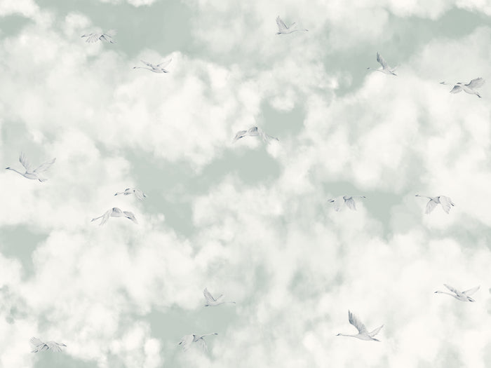 Cloud Play Haze - Swans