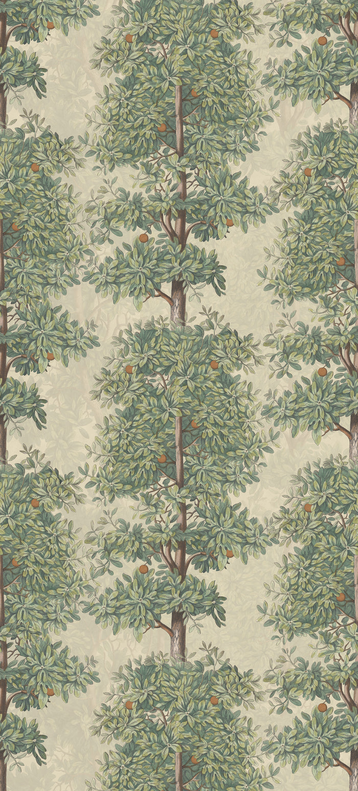 Mandarin Grove - Oranges