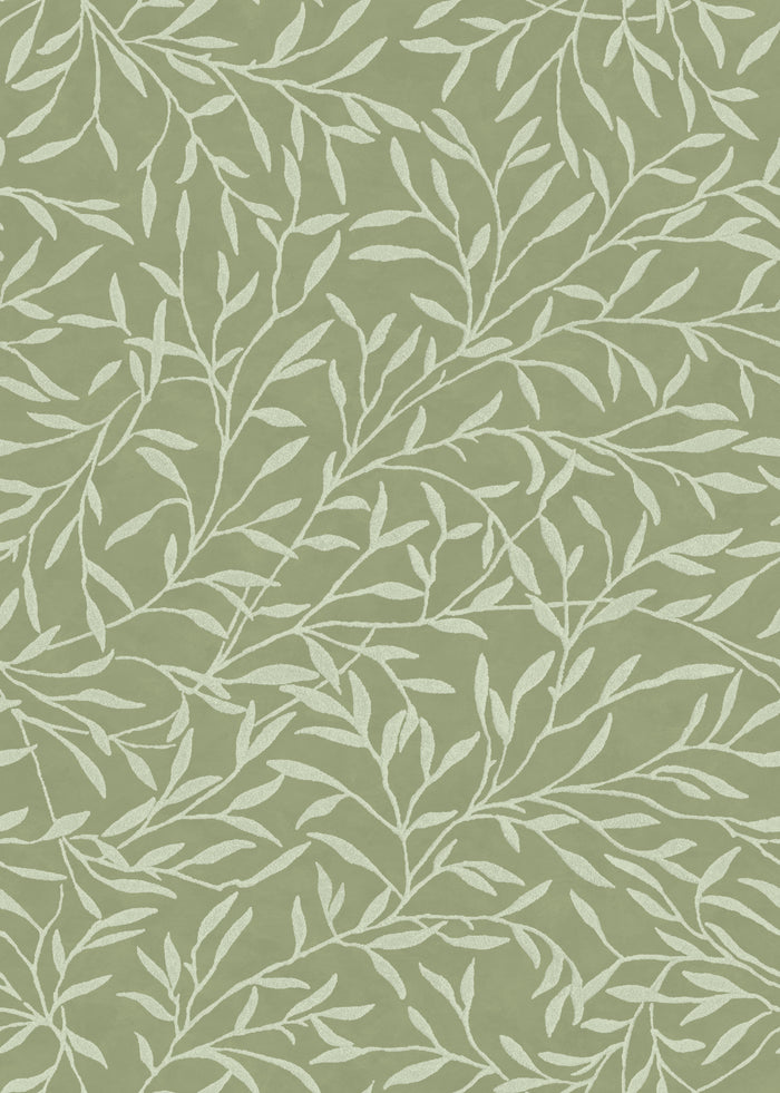 Morning Dew - Olive Leaves