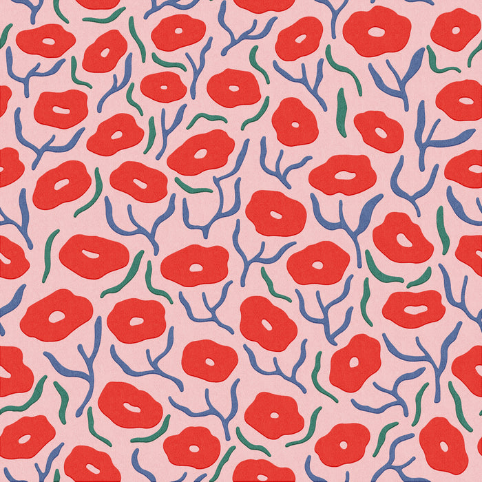 Nola - Cherry