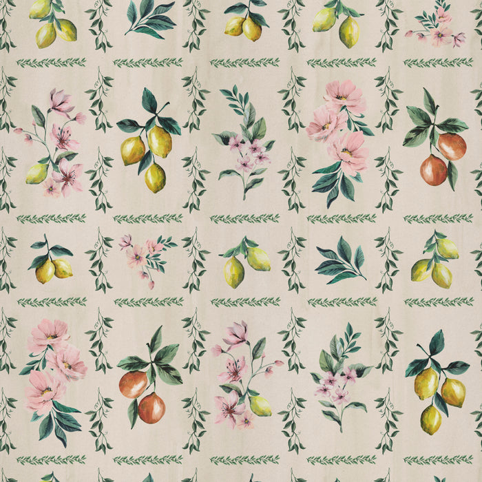 Orchard & Vine - Cellar