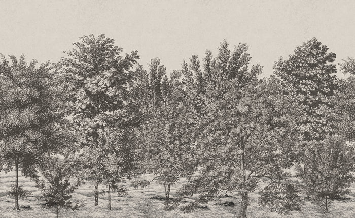 Spring Canopy - Buff