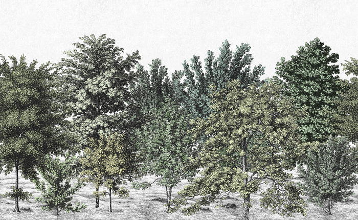 Spring Canopy - Verdant