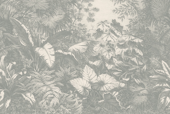 Wild Jungle - Mist