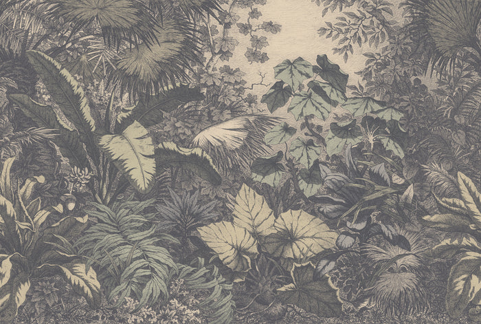 Wild Jungle - Rover
