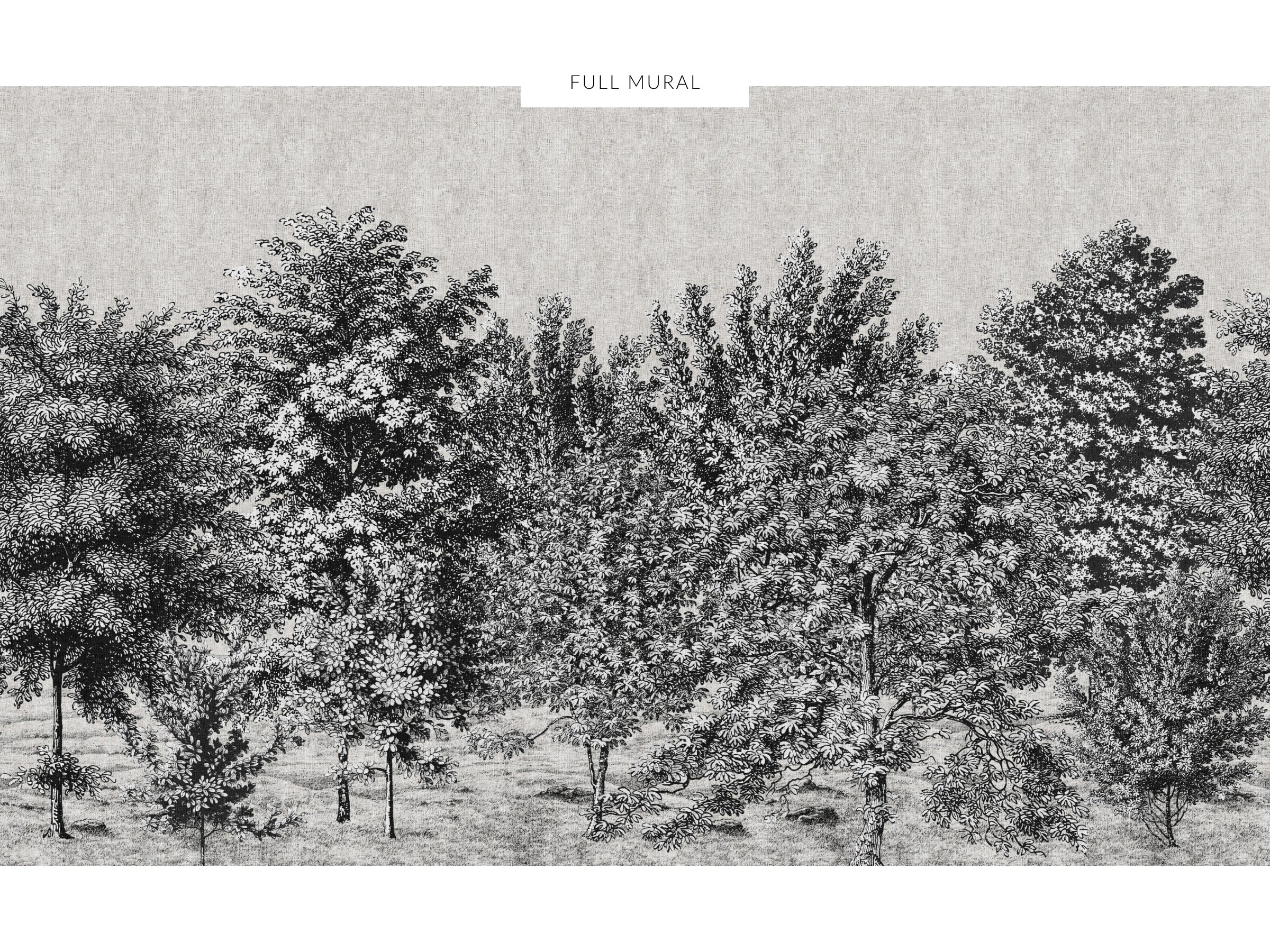 Spring Canopy - Ink