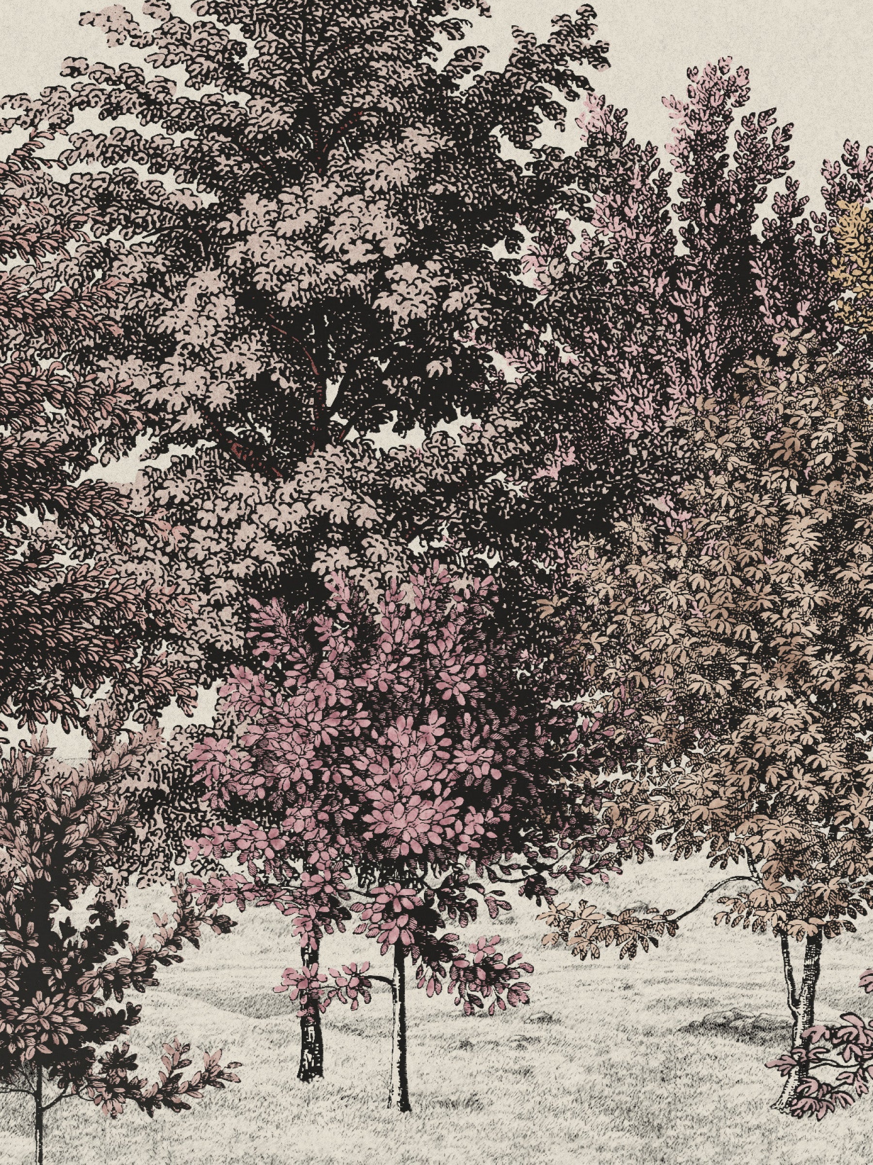 Spring Canopy - Mulberry