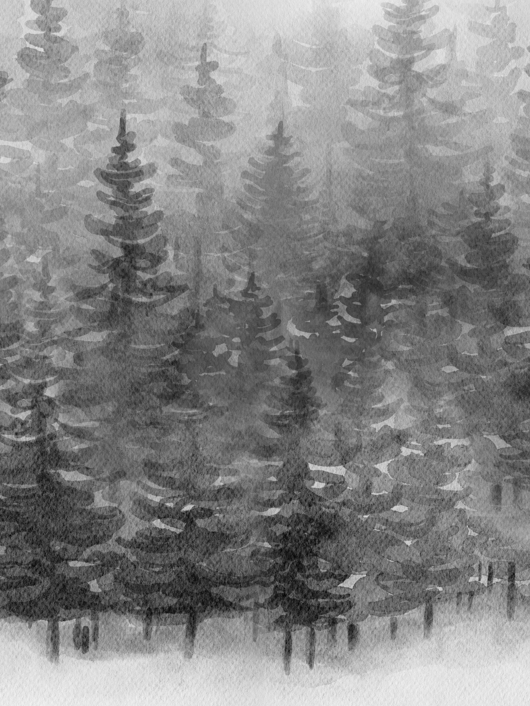 Spruce Forest  - Indigo Solstice