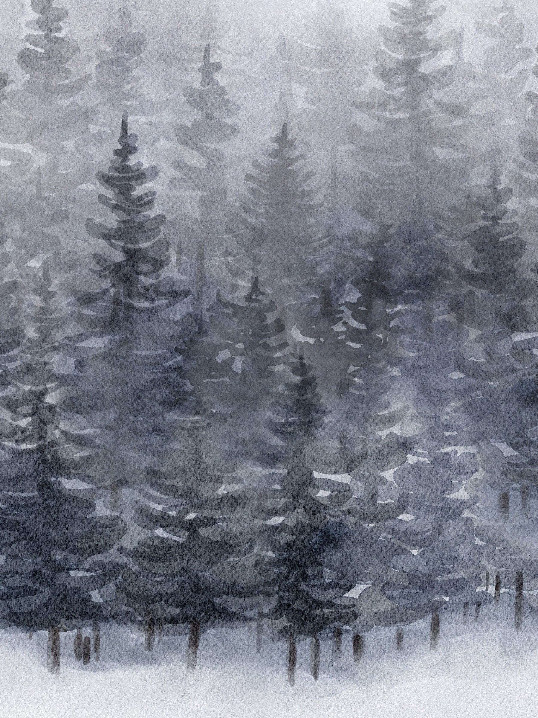 Spruce Forest  - Onyx Solstice