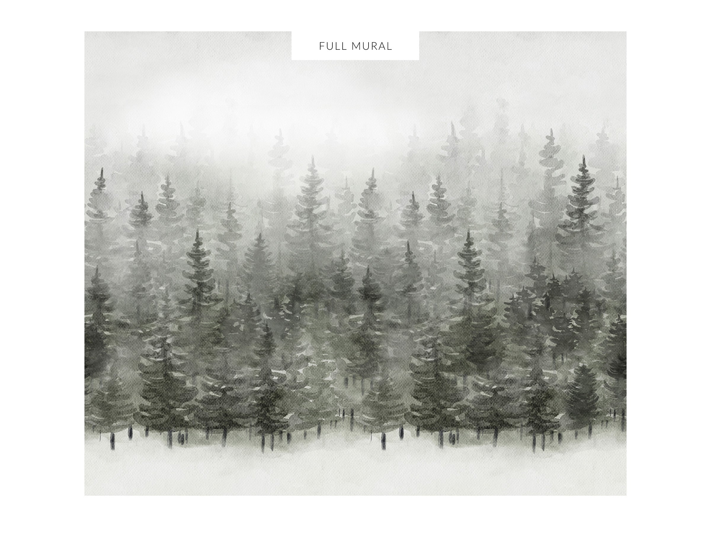 Spruce Forest  - Pine Solstice