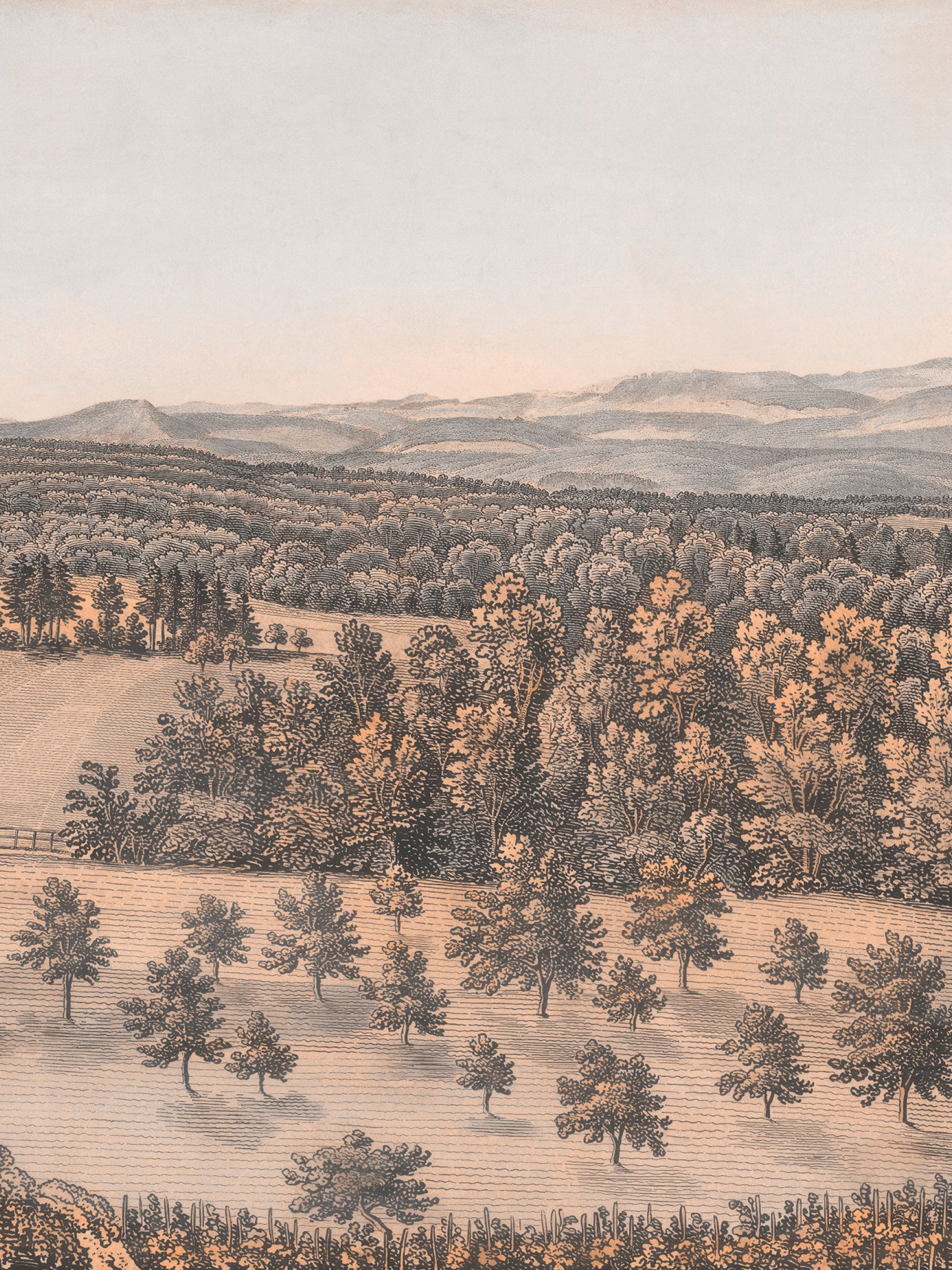 Swiss Landscape - Estival Sepia
