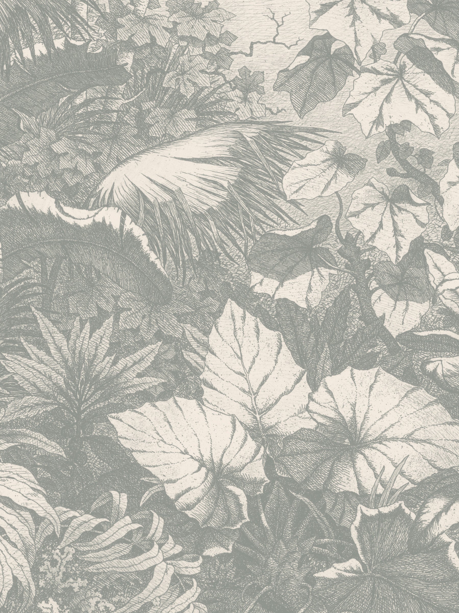 Wild Jungle - Mist